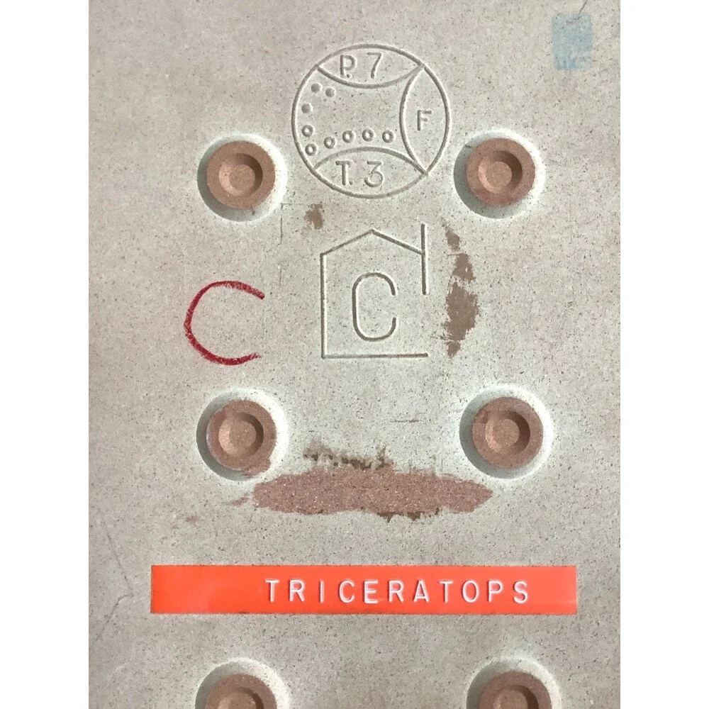 MCM Art Tile Pottery Triceratops Framed Trivet Nursery Decor Kid Room Dinosaurs